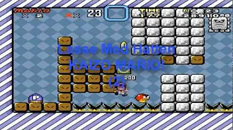 DELFIN RIDNING?! Dansk Kaizo Mario (Del 2)!