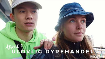 VI BESØGER DET VÆRSTE ULOVLIGE DYREMARKED⎢MIN TUR TIL MYANMAR (AFSNIT 2)