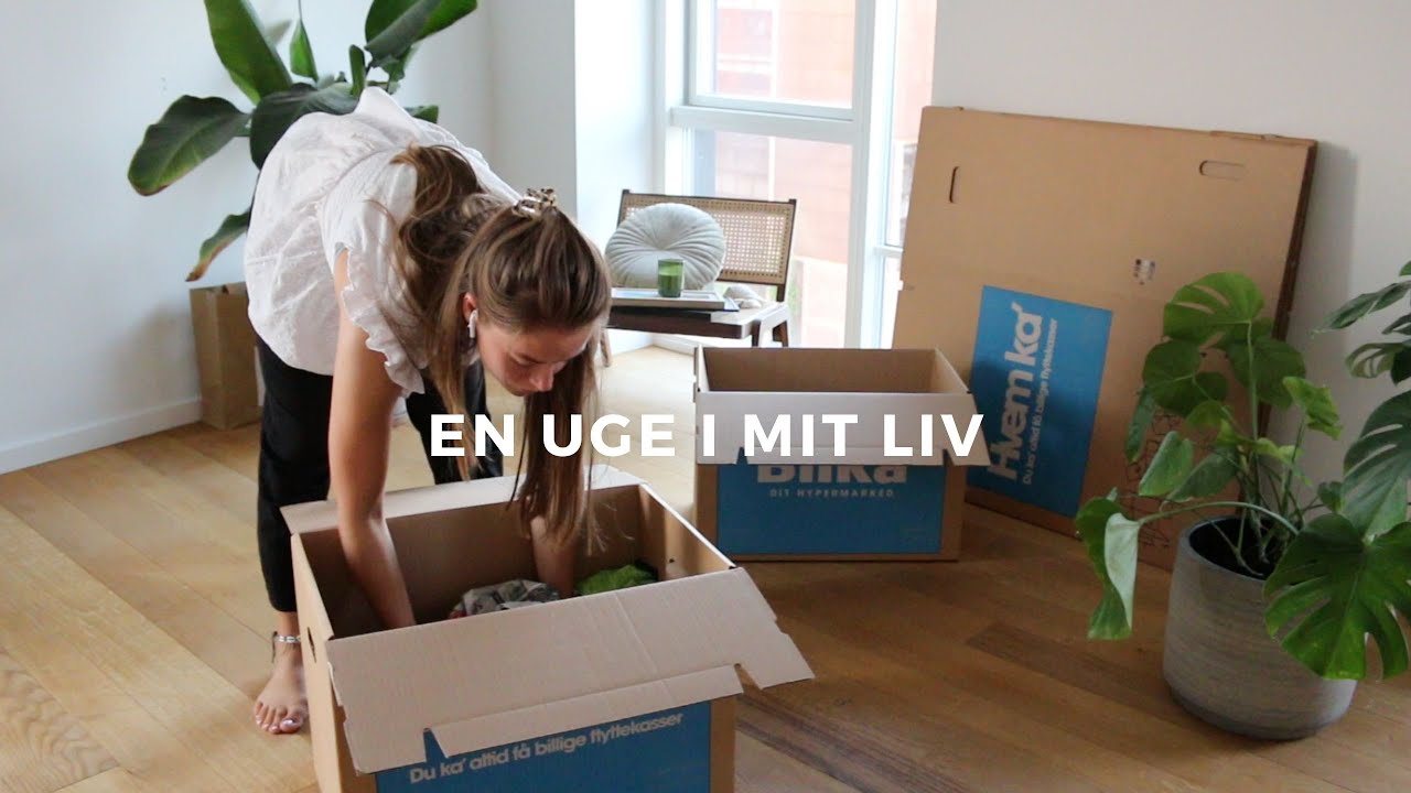 BOKSER, HOLDER FEST OG FLYTTER UD AF LEJLIGHEDEN