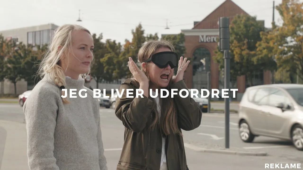 HVAD ER BÆREDYGTIGHED?