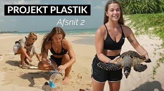 JEG SÆTTER EN HAVSKILDPADDE FRI⎢PROJEKT PLASTIK #2