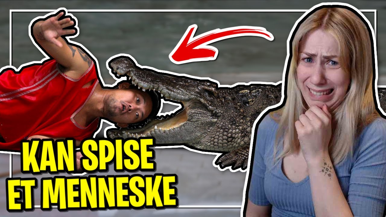 Marie Reagerer På: Verdens farligste dyr! *Sheeeeeeeesh*