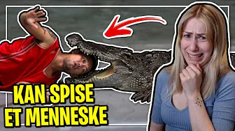 Marie Reagerer På: Verdens farligste dyr! *Sheeeeeeeesh*