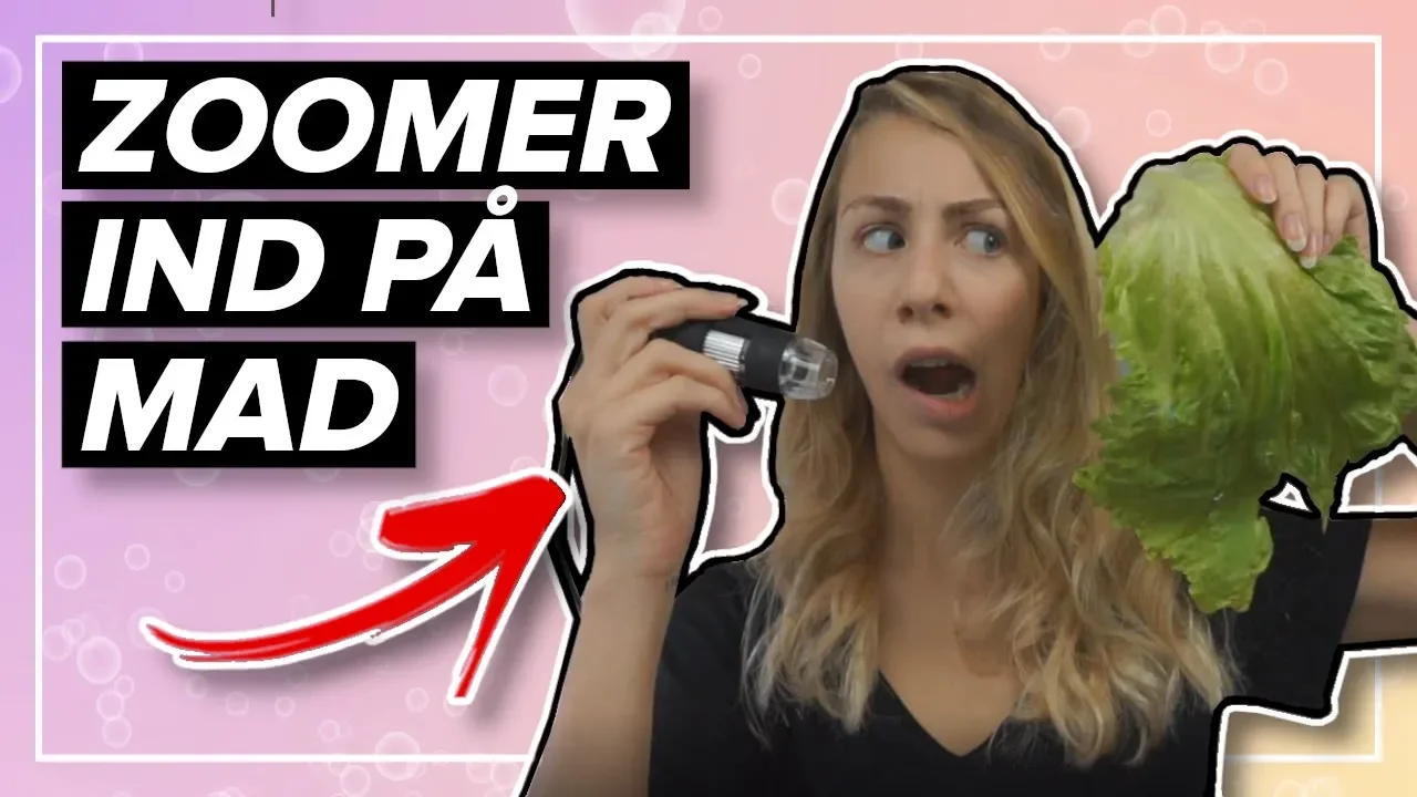 MAD UNDER ET MIKROSKOP!