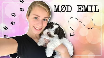 MØD VORES NYE HUNDEHVALP ❤️🐶