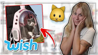 JEG KØBER KUN KATTE TING PÅ WISH
