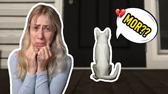 Vi kæmper for at være elsket | CopyCat Playthrough | Episode 2