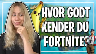 DEN ULTIMATIVE FORTNITE QUIZ