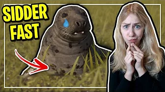 MIT SÆL HABITAT GÅR HELT GALT ... | Dansk Planet Zoo