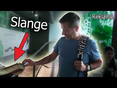 MIN FAR OVERVINDER SIN FRYGT I DUBAI