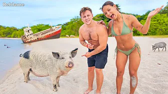 Øde ø overtaget af grise