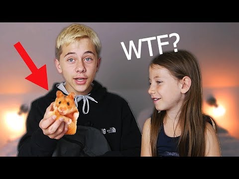 KAN MAN HAVE DET I EN SKOLETASKE?!