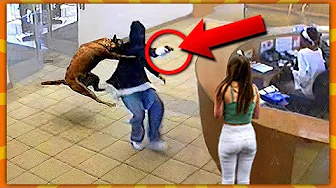 30 Dyr Der Redder Menneskers Liv!