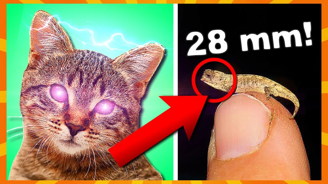 50 UTROLIGE Facts Du IKKE Kendte! #2