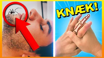 15 Populære Myter Der Ikke Passer!