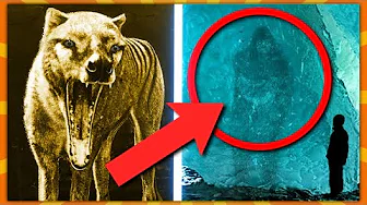 9 Uddøde Dyr Som Bliver Genoplivet!