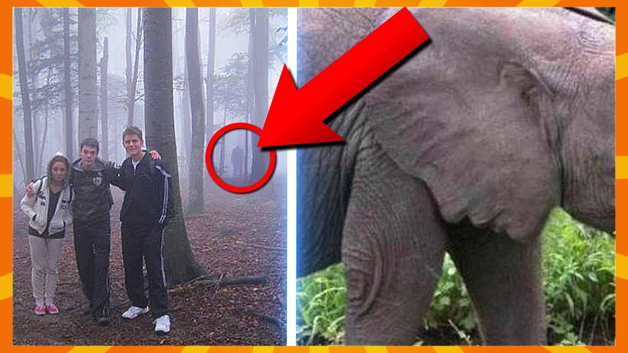 15 Uhyggelige Ting Skjult I Billeder!