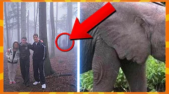 15 Uhyggelige Ting Skjult I Billeder!