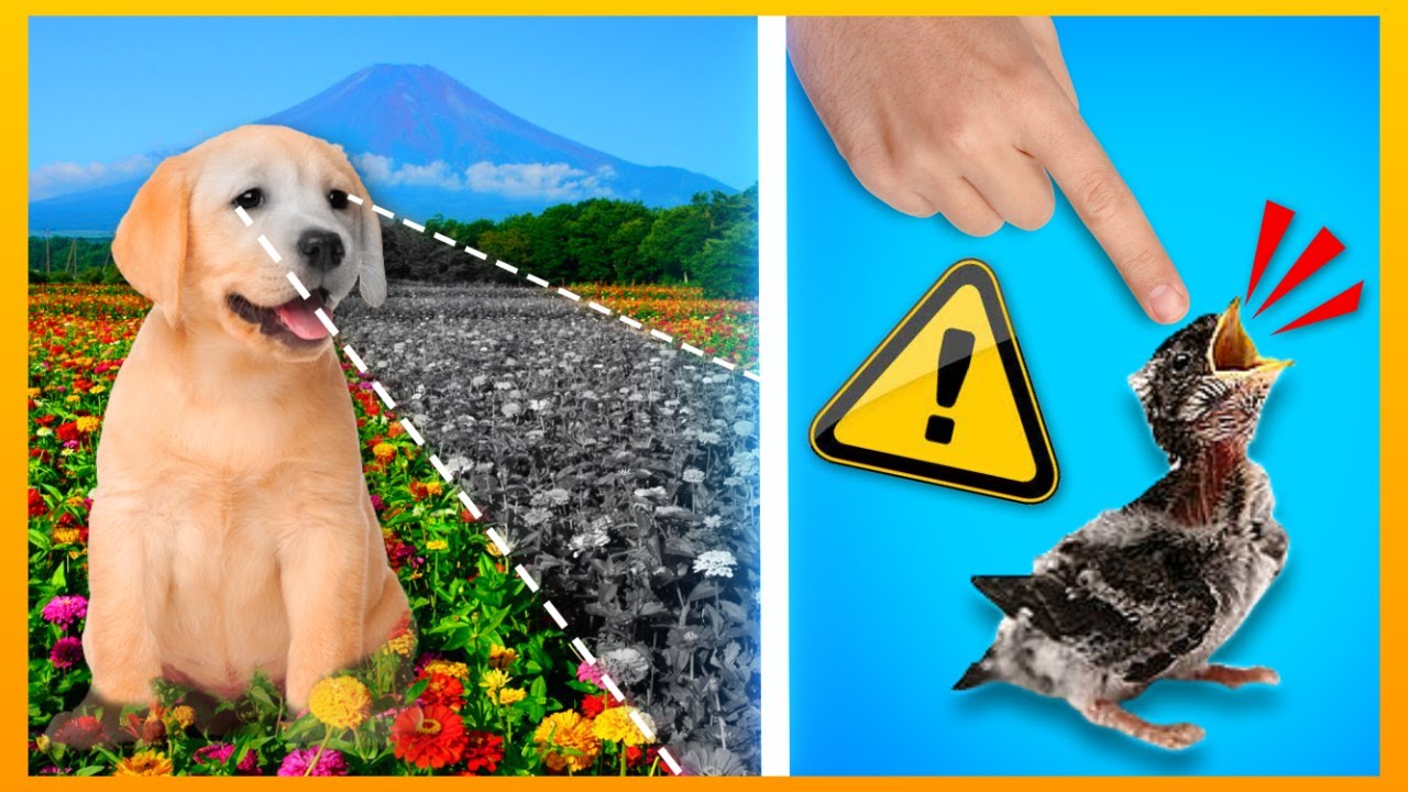 11 Populære Myter Der IKKE Passer!