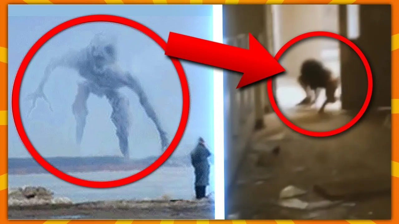 10 Mystiske Skabninger Fanget På Kamera!