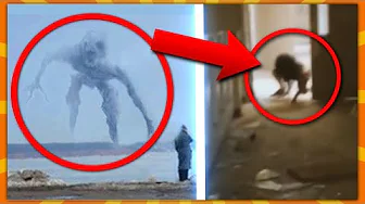 10 Mystiske Skabninger Fanget På Kamera!