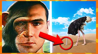 13 Populære Myter Der Ikke Passer!