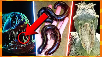 10 Uhyggeligste Dyr I Verden!