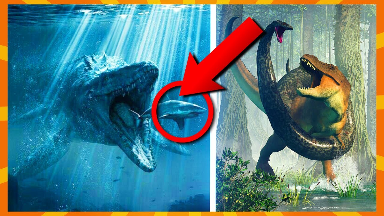 10 Skrækkelige Dyr Fra Fortiden!