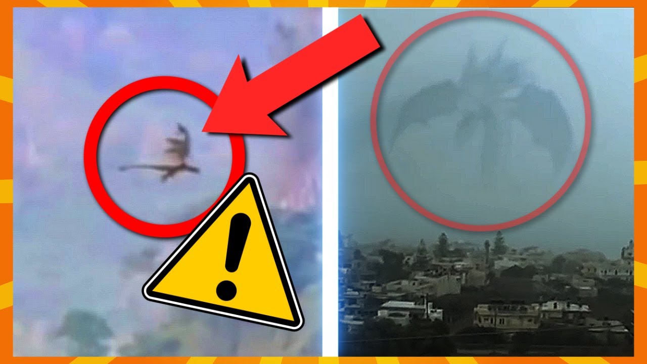 9 Gigantiske Væsner Fanget På Kamera!