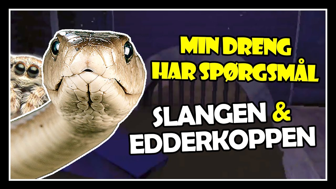 Det er hårdt at være far sommetider! (Lethal Company) - Mewkel