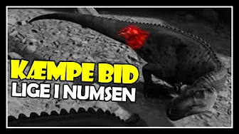 En Orn'lig Bid! - Path of Titans