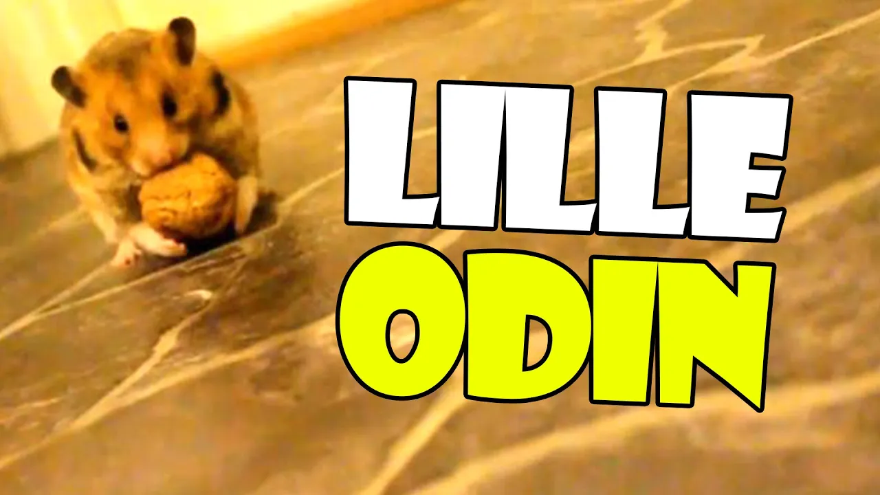 ODIN - CoolageBrothers [Re-Upload]