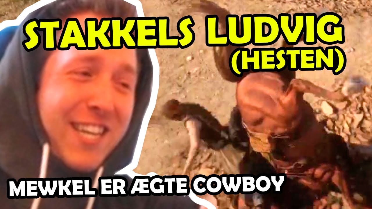 DEN ÆGTE COWBOY! (Red Dead Redemption 2) - Mewkel [Re-Upload]