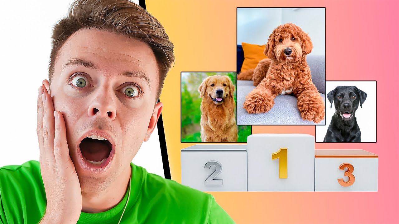 Kigger på hunde - Hvilken skal jeg vælge?