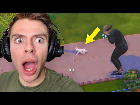 Min hund løber væk i Sims 4!