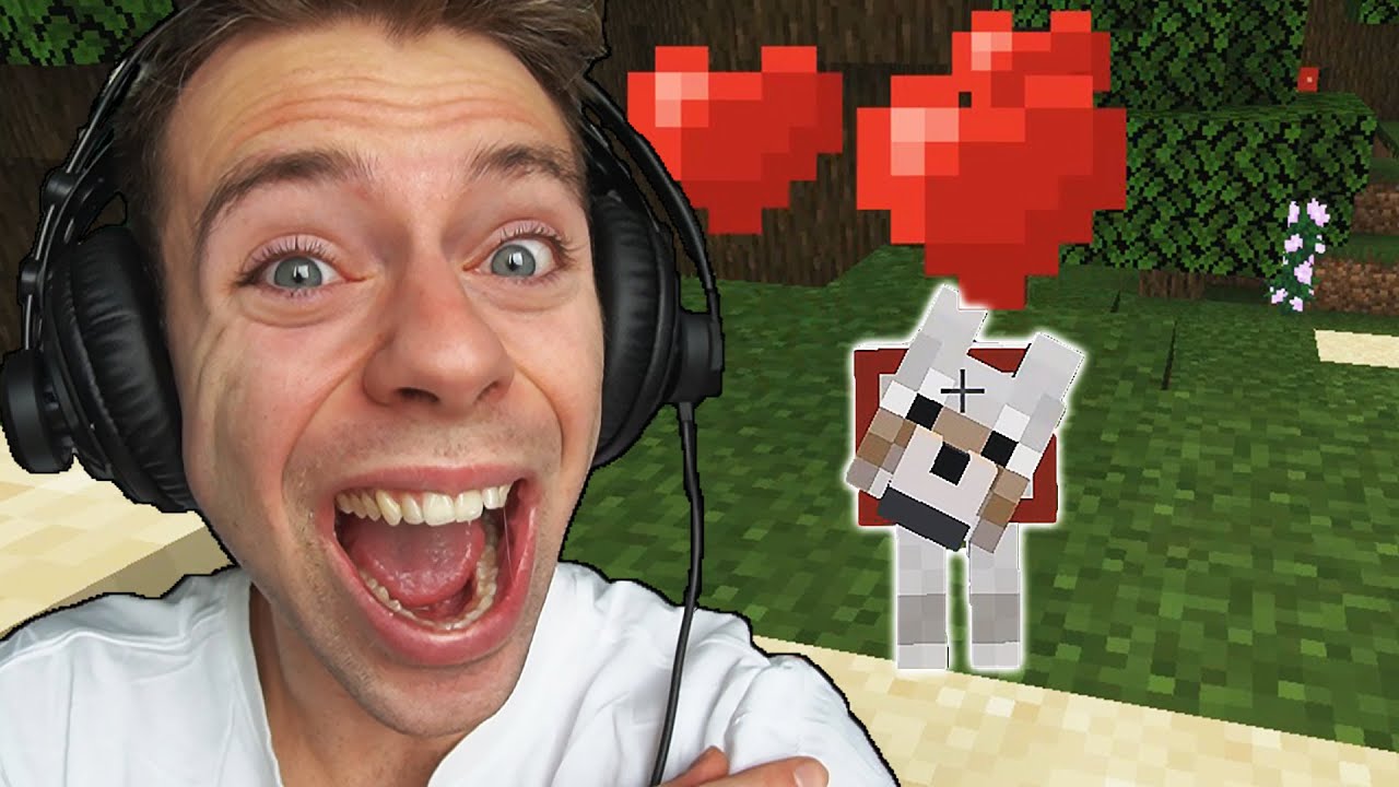 JEG HAR FÅET EN HUND I MINECRAFT - Part 12