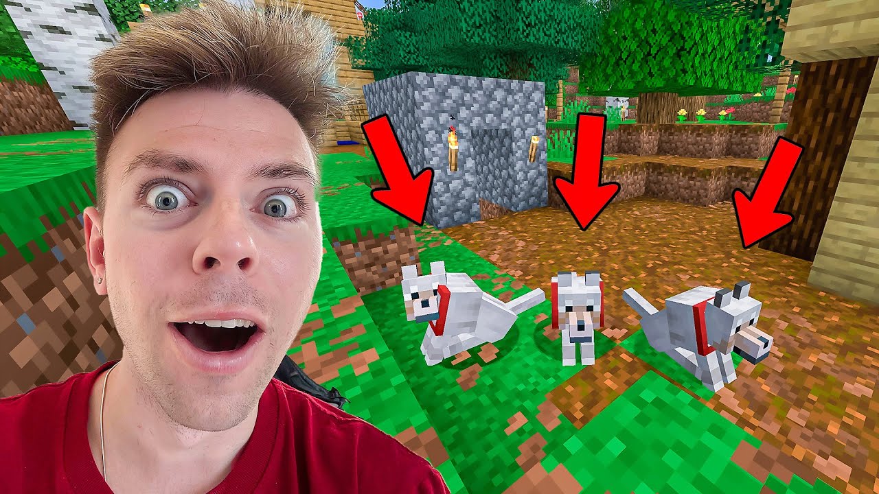 Vi har fået kæledyr på vores ø! - Part 9