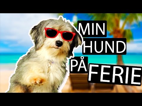 MIN HUND PÅ FERIE?