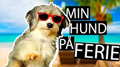MIN HUND PÅ FERIE?