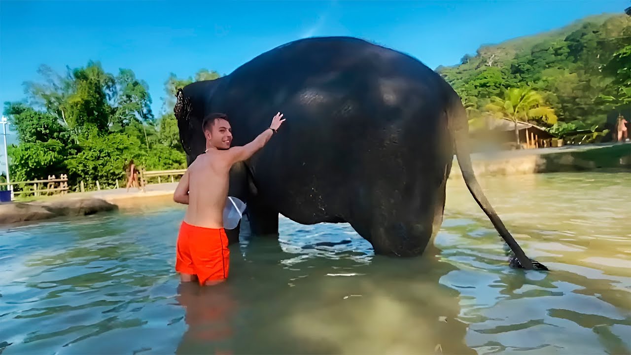 ELEFANTENS NYE HJEM I THAILAND