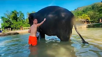 ELEFANTENS NYE HJEM I THAILAND