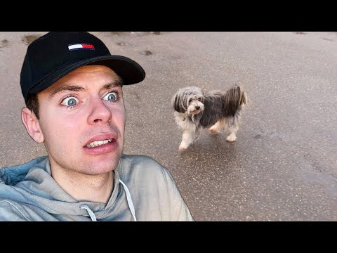 Bubbi løber hjemmefra! (Sketch)