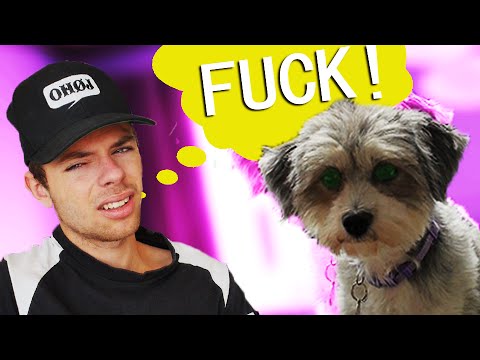 MIN HUND KAN LÆSE TANKER?!