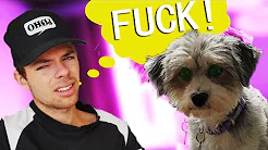 MIN HUND KAN LÆSE TANKER?!