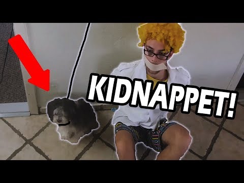 MIN HUND BLEV KIDNAPPET?!