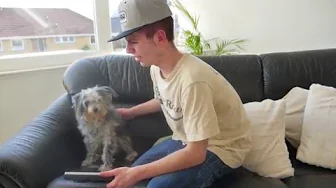 MIN HUND ER ET MARERIDT!