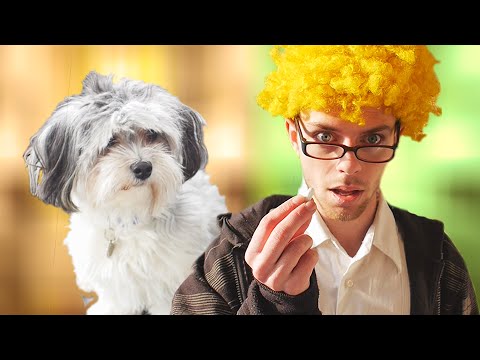 MIN HUND ER ET MENNESKE?