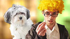 MIN HUND ER ET MENNESKE?