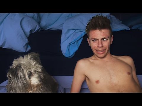 SOVER MED MIN HUND | 4