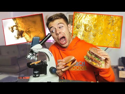 Undersøger McDonalds mad i Mikroskop